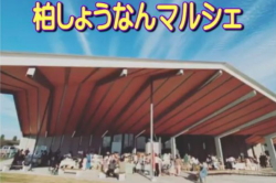 マルシェ開催の様子